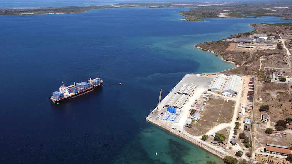Privatisation of ports: East African countries weighing the pros and cons